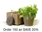 BULK Eco-Friendly Herb Box Favor, Basil - Creative Party Favor