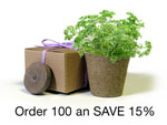 BULK Eco-Friendly Herb Box Favor, Parsley - Creative Party Favor