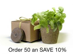 BULK Save 10% - Favor Creative Herb Junior Basil - Eco-Friendly Party Favor
