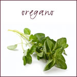 grwng-herb-oregano