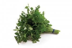 growing-parsley-2