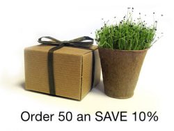 BULK Save 10% - Favor Creative Herb Junior Chives - Eco-Friendly Party Favor
