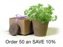 BULK Save 10% - Favor Creative Herb Junior Viola - Eco-Friendly Party Favor
